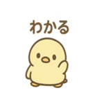 ぴよペンのぬくぬくスタンプ（個別スタンプ：12）