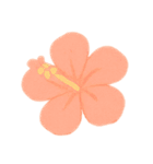 パステル季節だより(夏編)（個別スタンプ：8）