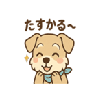 たのみごとシュナのお願いスタンプ日和（個別スタンプ：13）