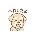たのみごとシュナのお願いスタンプ日和（個別スタンプ：19）