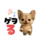 AIチワワのらんちゃん私的日常会話編（個別スタンプ：3）