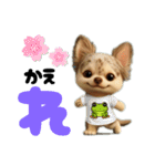 AIチワワのらんちゃん私的日常会話編（個別スタンプ：6）