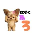 AIチワワのらんちゃん私的日常会話編（個別スタンプ：19）