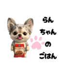 AIチワワのらんちゃん私的日常会話編（個別スタンプ：24）