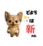 AIチワワのらんちゃん私的日常会話編（個別スタンプ：26）