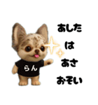 AIチワワのらんちゃん私的日常会話編（個別スタンプ：31）