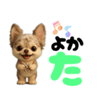 AIチワワのらんちゃん私的日常会話編（個別スタンプ：39）