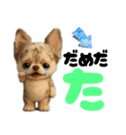 AIチワワのらんちゃん私的日常会話編（個別スタンプ：40）