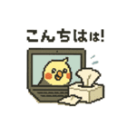ドット絵オカメインコちゃん（個別スタンプ：1）
