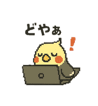 ドット絵オカメインコちゃん（個別スタンプ：3）