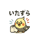 ドット絵オカメインコちゃん（個別スタンプ：4）