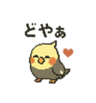 ドット絵オカメインコちゃん（個別スタンプ：6）