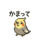 ドット絵オカメインコちゃん（個別スタンプ：7）