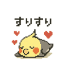 ドット絵オカメインコちゃん（個別スタンプ：11）