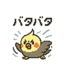 ドット絵オカメインコちゃん（個別スタンプ：16）