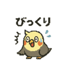 ドット絵オカメインコちゃん（個別スタンプ：17）