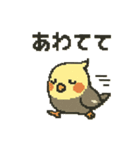 ドット絵オカメインコちゃん（個別スタンプ：19）