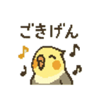 ドット絵オカメインコちゃん（個別スタンプ：21）