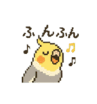 ドット絵オカメインコちゃん（個別スタンプ：24）