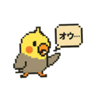 ドット絵オカメインコちゃん（個別スタンプ：30）