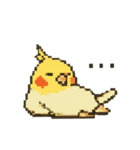 ドット絵オカメインコちゃん（個別スタンプ：33）