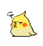 ドット絵オカメインコちゃん（個別スタンプ：35）