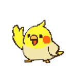 ドット絵オカメインコちゃん（個別スタンプ：36）