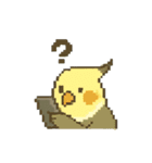 ドット絵オカメインコちゃん（個別スタンプ：37）