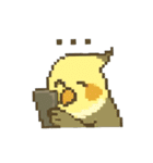 ドット絵オカメインコちゃん（個別スタンプ：38）