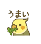 ドット絵オカメインコちゃん（個別スタンプ：39）
