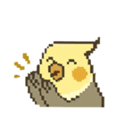 ドット絵オカメインコちゃん（個別スタンプ：40）