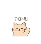 韓国風のカップルと色々 韓国語（個別スタンプ：4）