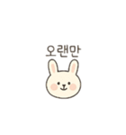 韓国風のカップルと色々 韓国語（個別スタンプ：15）