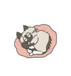 デルフィとニウム（個別スタンプ：19）