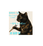 小花達の台湾猫ミームスタンプ（個別スタンプ：5）