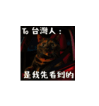 小花達の台湾猫ミームスタンプ（個別スタンプ：15）