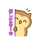 フクロウのフクちゃんで～す（個別スタンプ：1）