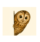 フクロウのフクちゃんで～す（個別スタンプ：2）