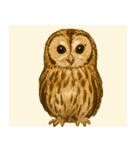 フクロウのフクちゃんで～す（個別スタンプ：4）