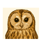 フクロウのフクちゃんで～す（個別スタンプ：6）
