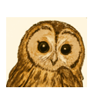 フクロウのフクちゃんで～す（個別スタンプ：10）