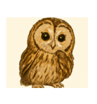フクロウのフクちゃんで～す（個別スタンプ：18）