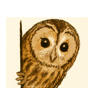 フクロウのフクちゃんで～す（個別スタンプ：20）