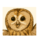 フクロウのフクちゃんで～す（個別スタンプ：24）
