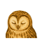 フクロウのフクちゃんで～す（個別スタンプ：33）