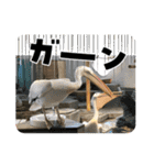 動物達ですが？（個別スタンプ：6）
