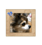 動物達ですが？（個別スタンプ：8）