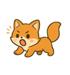 柴犬の毎日リアクション（個別スタンプ：12）