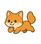 柴犬の毎日リアクション（個別スタンプ：13）