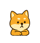 おちゃめ柴犬 リアクションパレード（個別スタンプ：12）